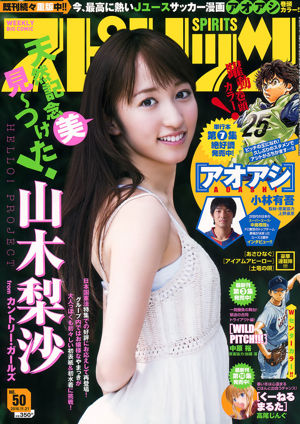 [Weekly Big Comic Spirits] Yamagi Risa 2016 nr 50 Photo Magazine