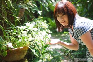 시노하라 살구 / 시노하라 살구 "스위티"[그래픽] 스페셜 콘텐츠