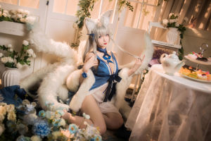 [Ảnh COSER của người nổi tiếng trên Internet] Blogger anime Feng Jiangjiang v - Shinano