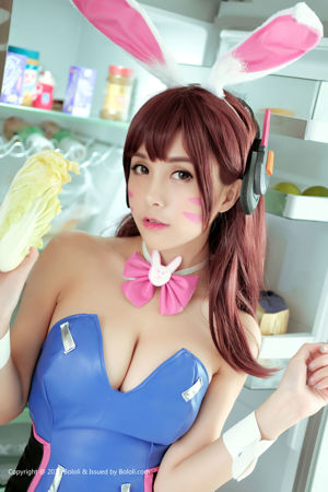 Natsumi-saus "Natsumi DVA Moe Photos" [Bololi Club] BOL.013