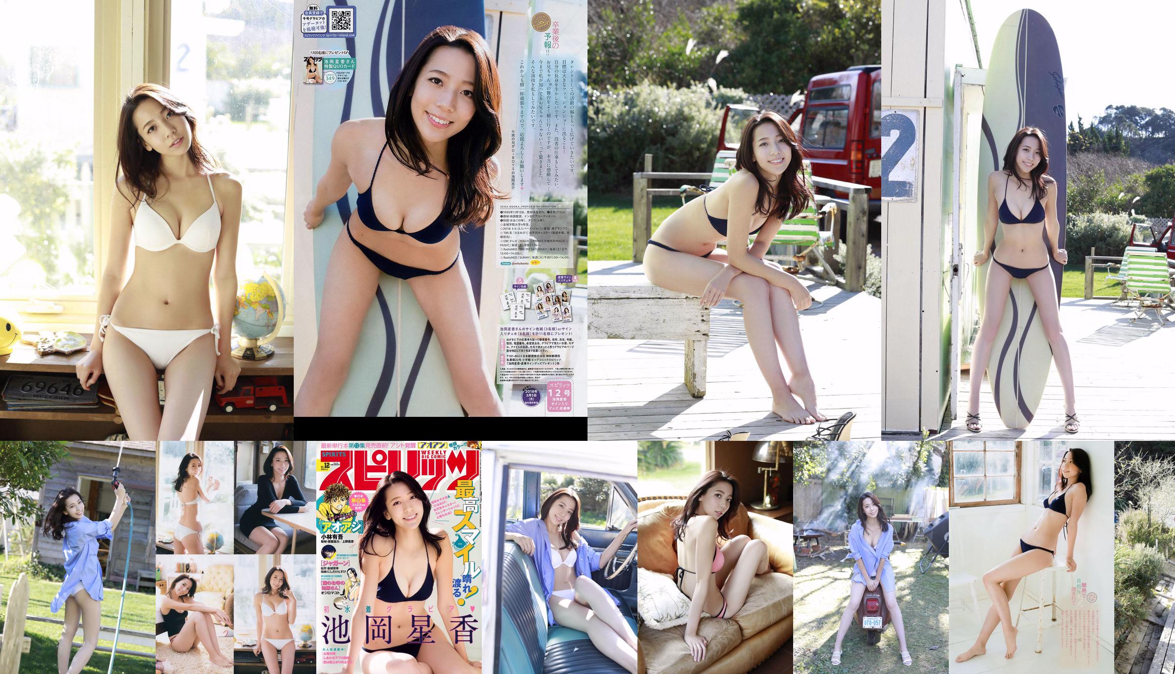 Seika Ikeoka [Big Comic Spirits Gravure Selection] [YS Web] Vol.801 No.cc1491 Seite 14