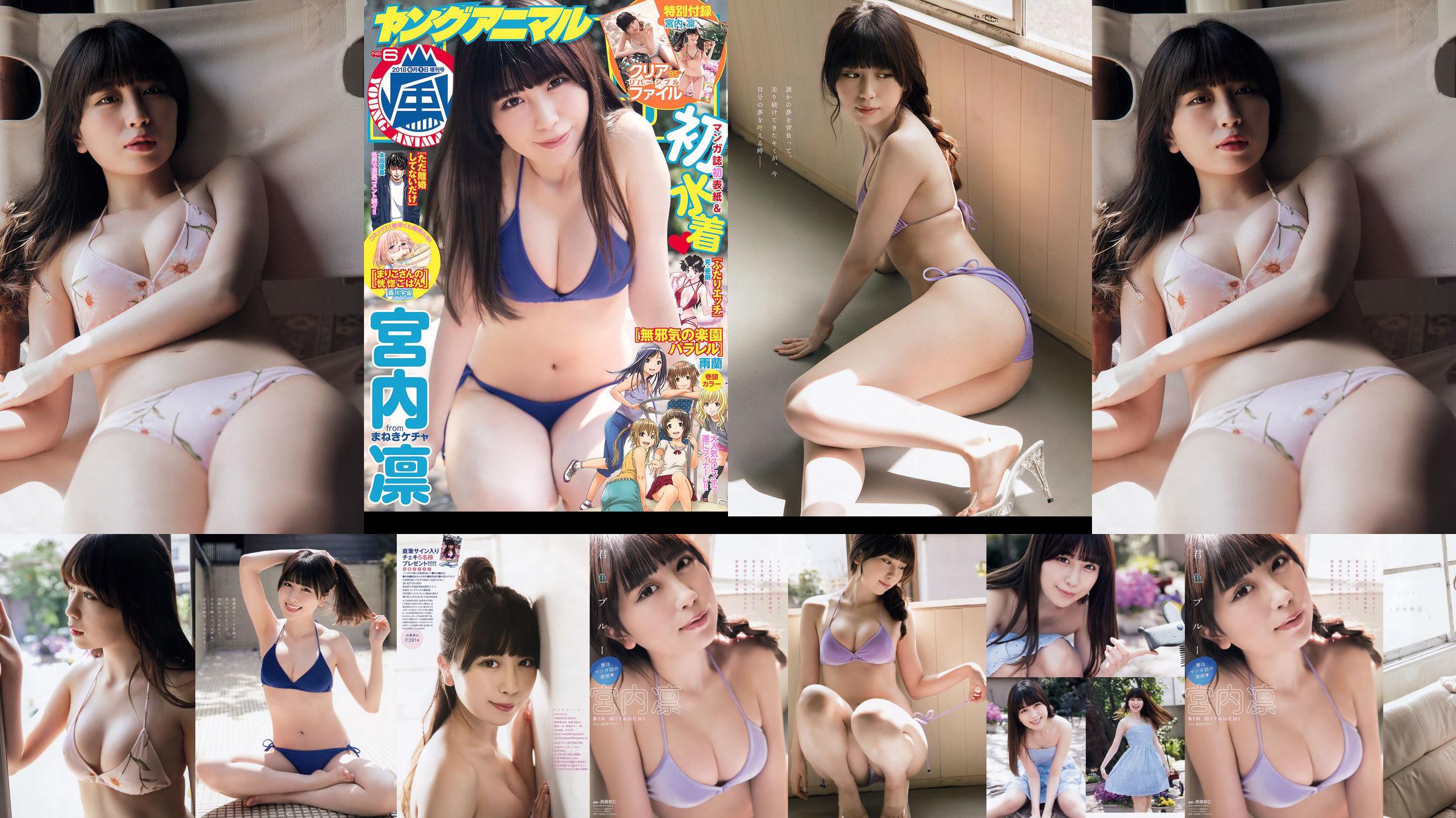 Rin Miyauchi [Young Animal Arashi] Arashi Special Issue 2018 No.06 Photo Magazine No.083aee Trang 1