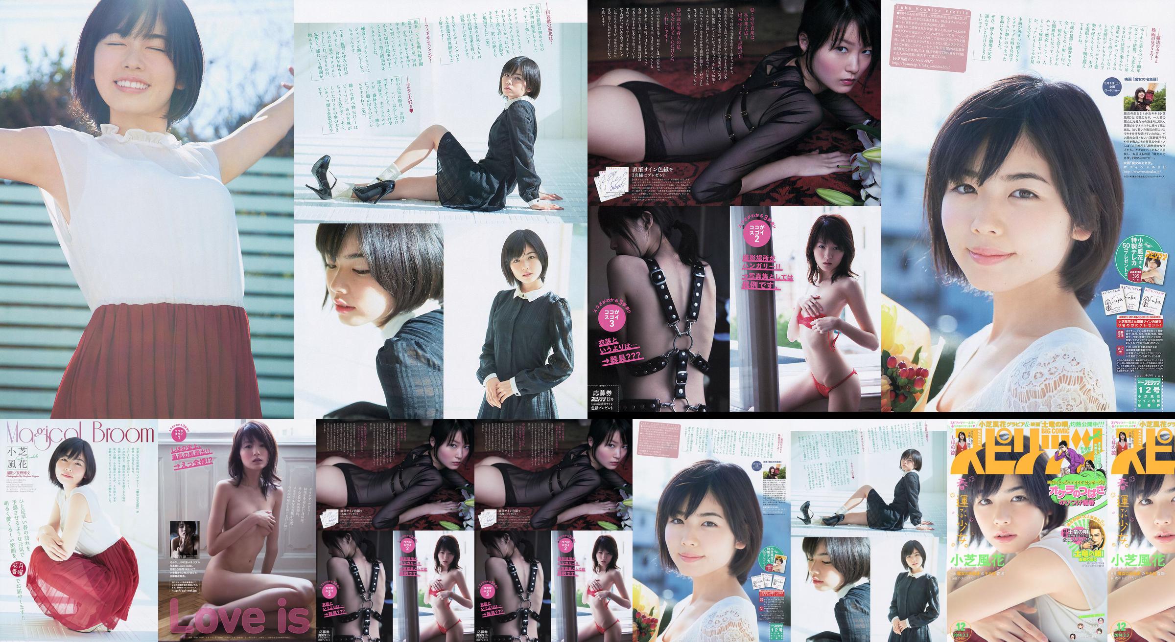 [주간 빅 코믹 스피릿] Xiaoshiba Fuhua し ほ の 凉 2014 No.12 Photo Magazine No.009506 페이지 1