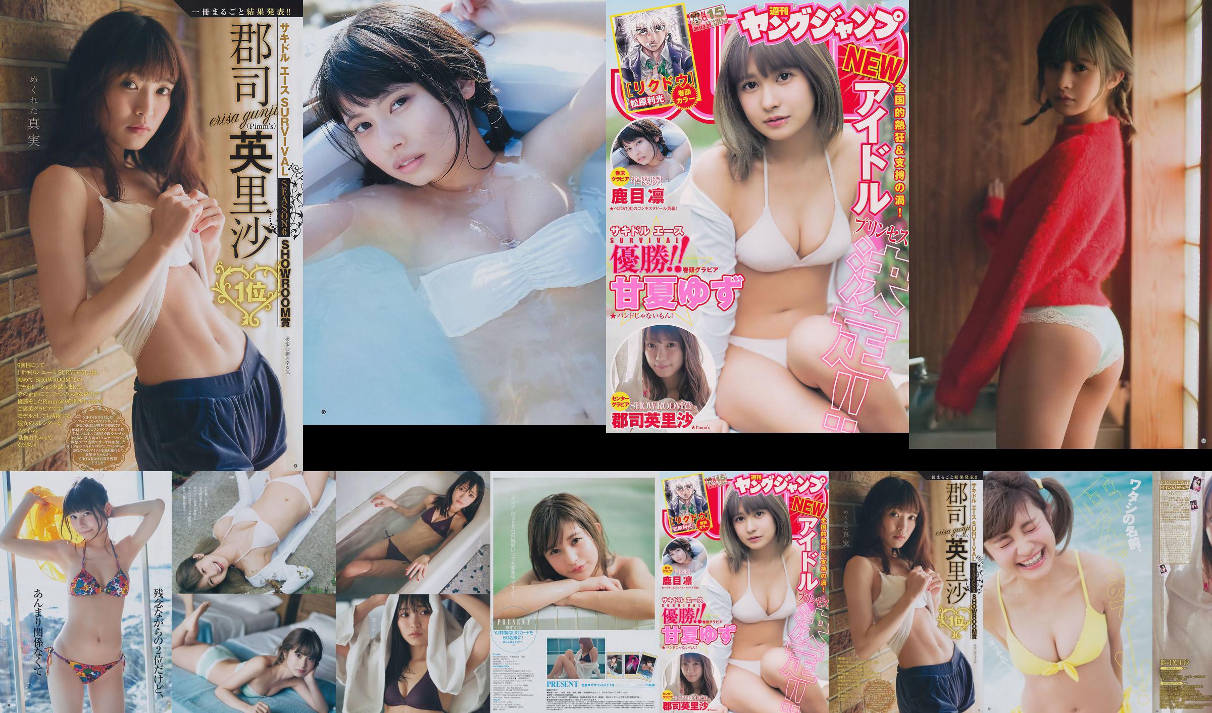 甘夏ゆず 郡司英里沙 鹿目凛 [Weekly Young Jump] 2017年No.15 写真杂志 No.afd61b 第1页