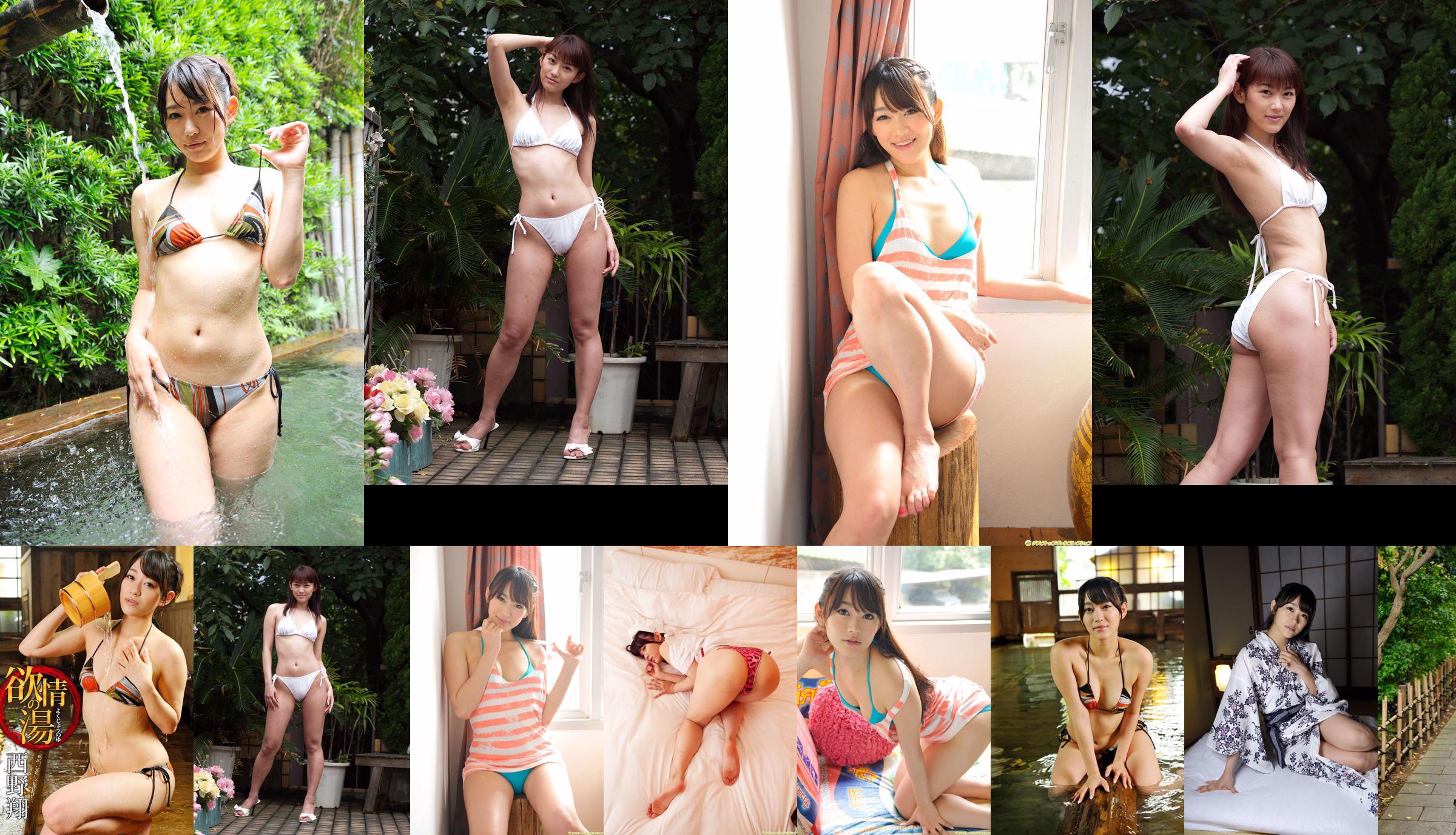 [Juicy Honey] jh011 Shou Nishino No.466d3e Page 47